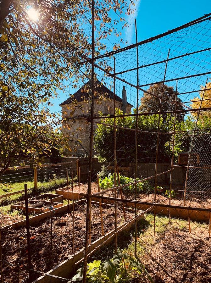 Pool House-L'Hirondelle De Sermizelles- Grand Jardin, Calme Et Nature Aux Portes Du Morvan Exteriér fotografie