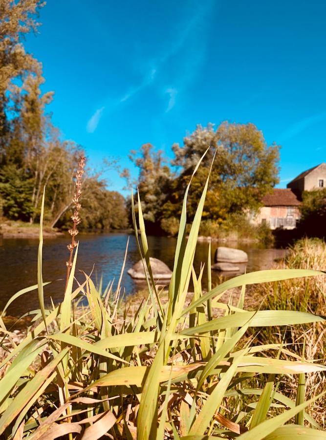 Pool House-L'Hirondelle De Sermizelles- Grand Jardin, Calme Et Nature Aux Portes Du Morvan Exteriér fotografie